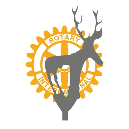 Çankaya Rotary Cheats