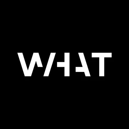 WHAT MUSEUM Читы
