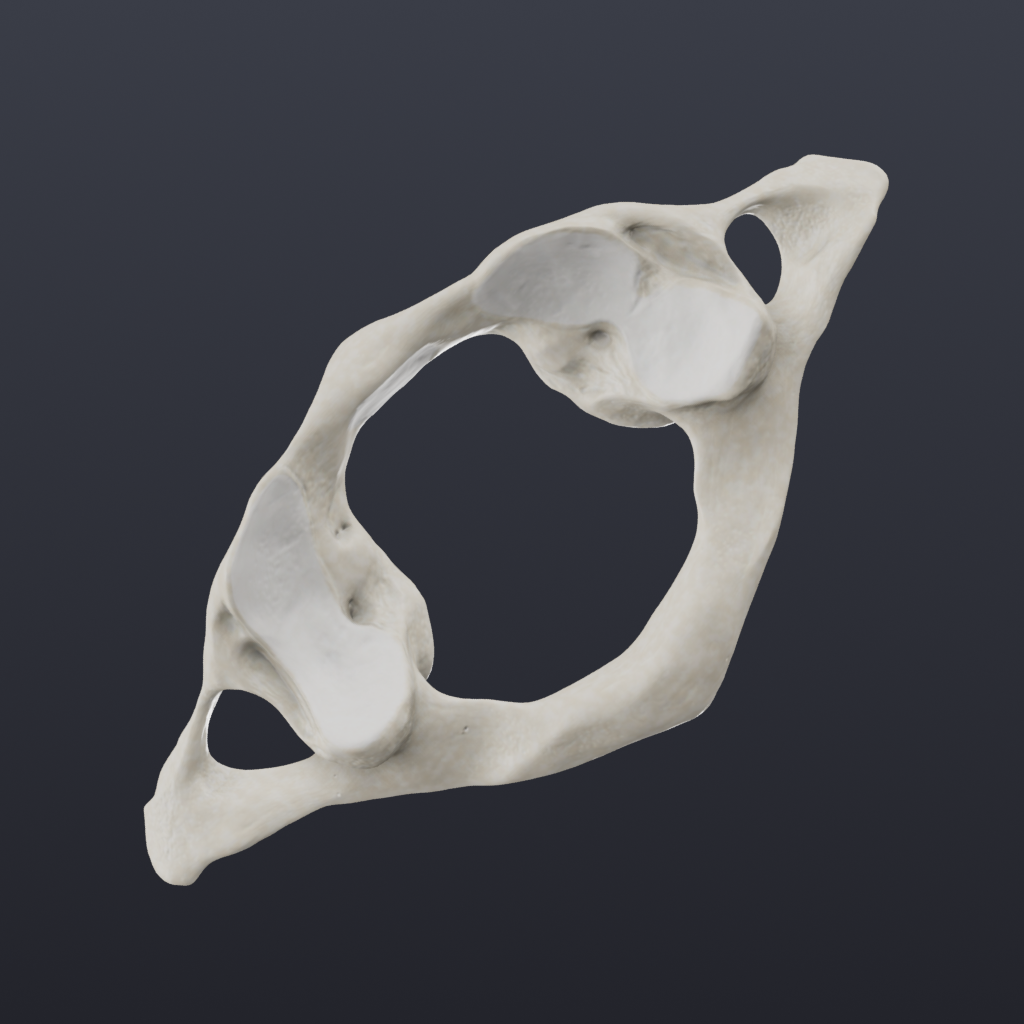 Get Biomechanics of the Spine Lite for iOS, iPhone, iPad Aso Report