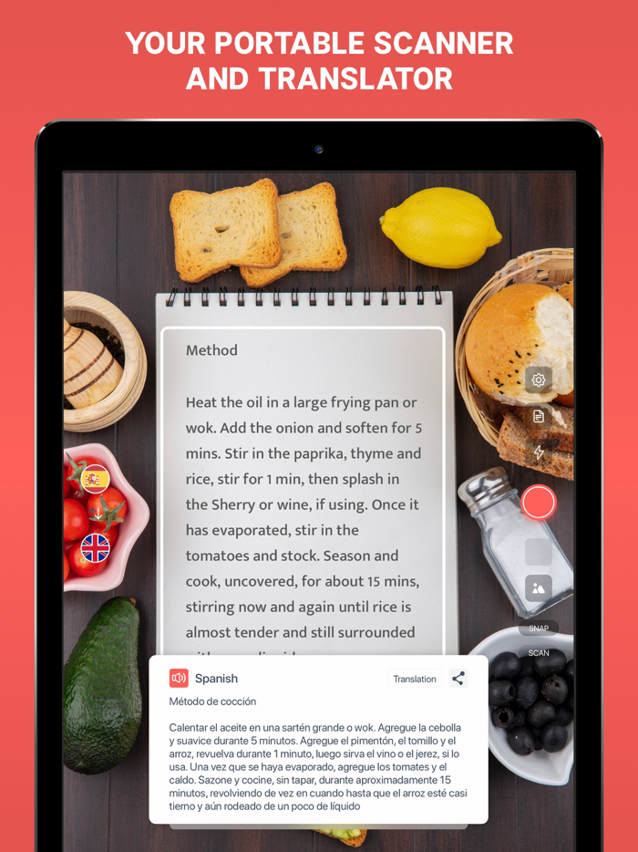 Scan and Translate Text Grabber