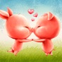 Hogs & Kisses Valentine´s Pigs app download