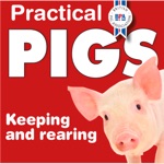 Download Practical Pigs Magazine app