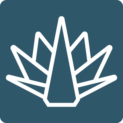 Mi Agave Inversiones