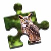 Owls of the World Puzzle icon