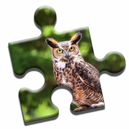 Owls of the World Puzzle Cheats