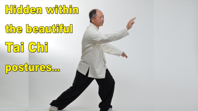 Tai Chi Martial Applications