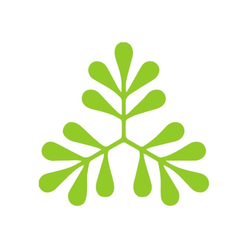 Azolla Driving Decarbonization