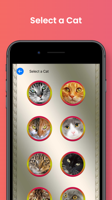 Cat Translator for Cats Screenshot