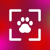 PetCam - Perfect Pet Portraits - iPadアプリ