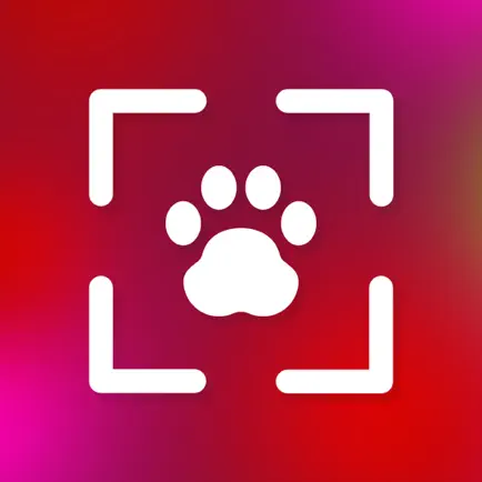 PetCam - Perfect Pet Portraits Cheats