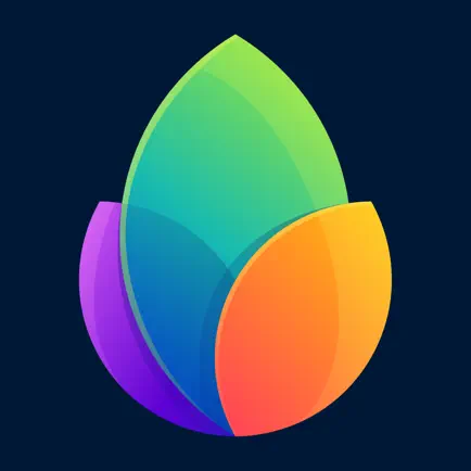 Flower Photo Frames HD Читы