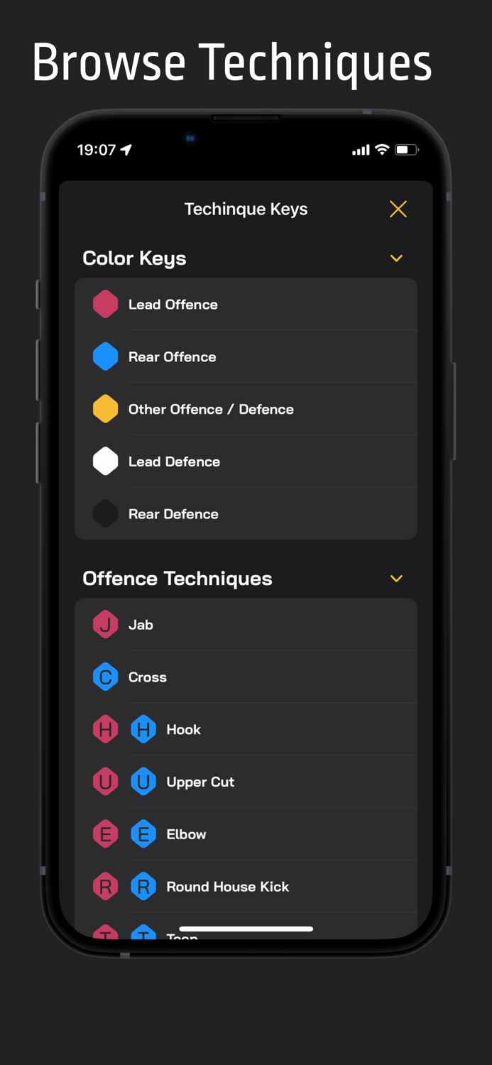 Muay Thai - Training and Combos