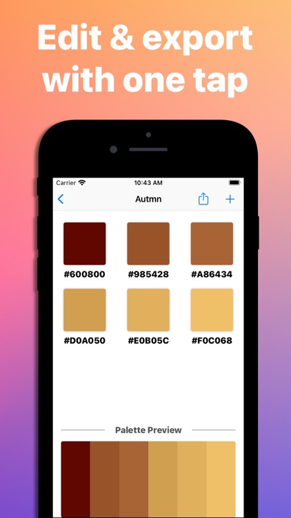 Color Palettes - Find & Create