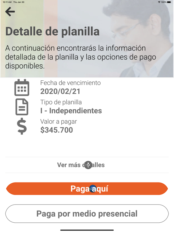 miplanilla iPad screenshot 5 - Productivity app