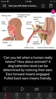 How to cancel & delete human anatomy ears facts, quiz 3