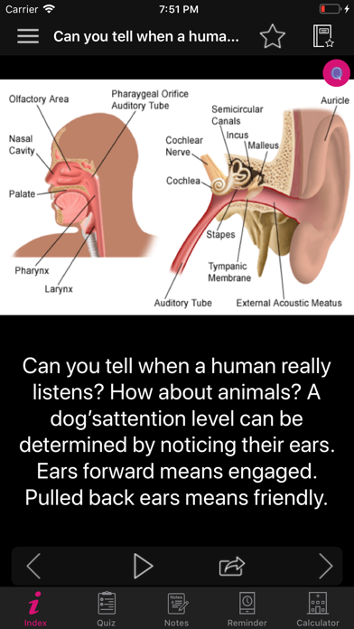 Human Anatomy Ears Facts, Quizのおすすめ画像2