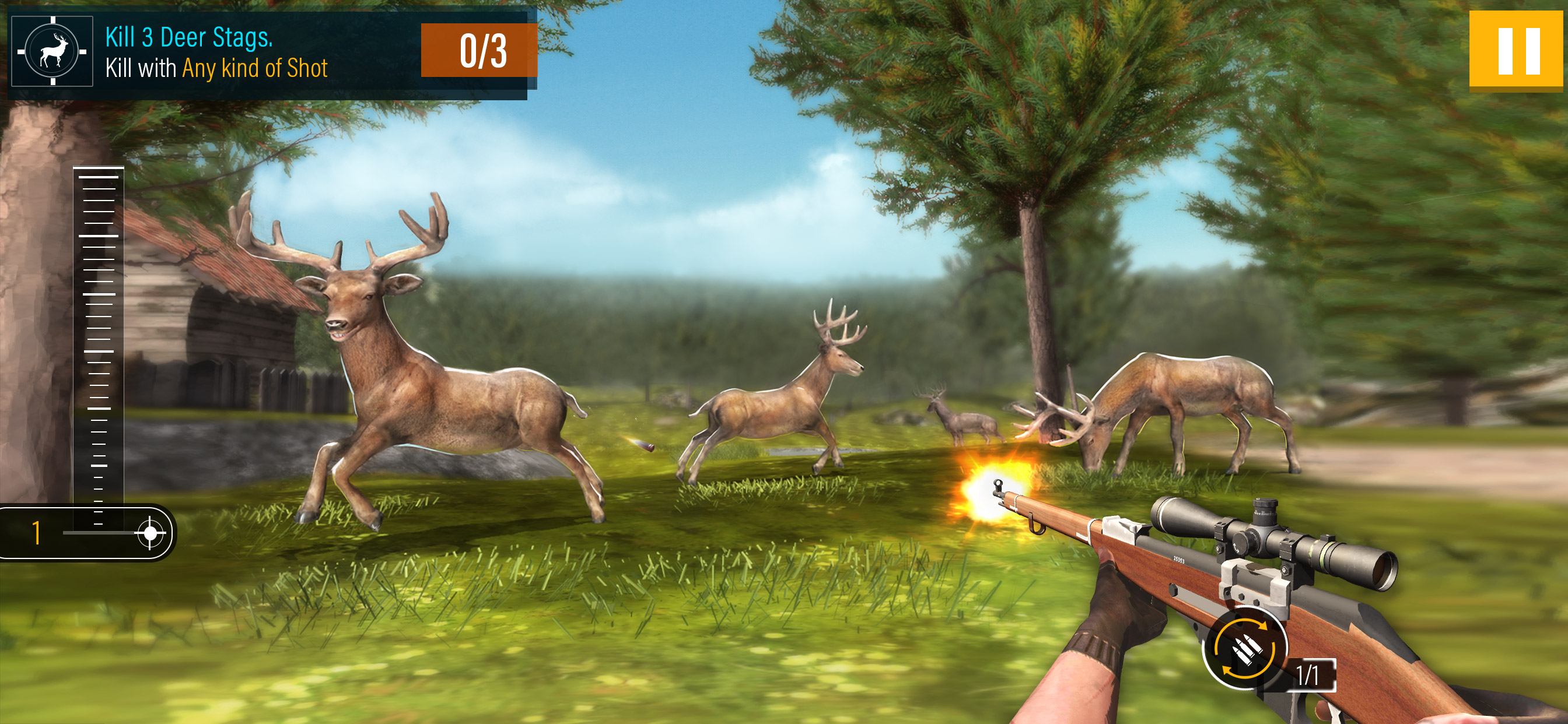 Wild Animal Hunting 2019