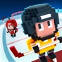 Blocky Hockey app download