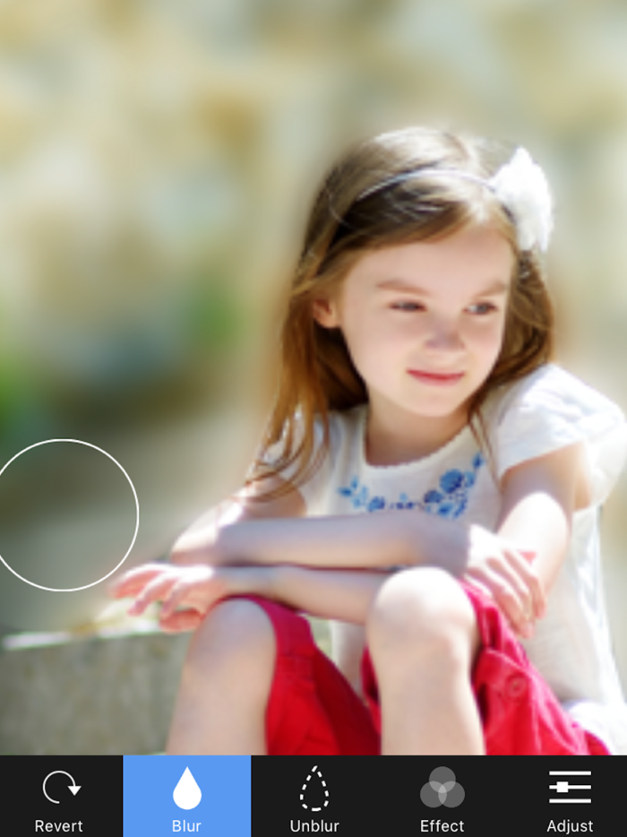 Blur Photo Background