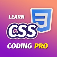 Learn CSS 3 Offline Now [PRO] logo