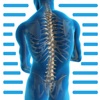 Spine Walk icon