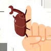 Beetle Tap icon