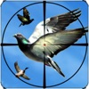 Flying Birds Hunting Game 3D icon