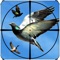 Icon Flying Birds Hunting Game 3D