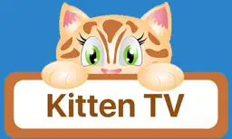 Kitten TV app icon