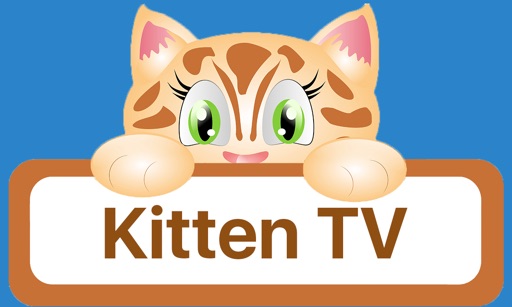 Kitten TV