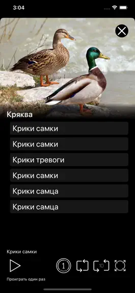 Game screenshot Манок - Птицы Европы apk