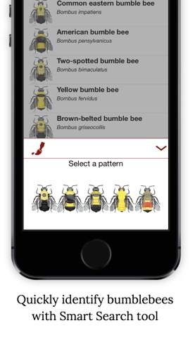 Bumble Bee Watchのおすすめ画像3