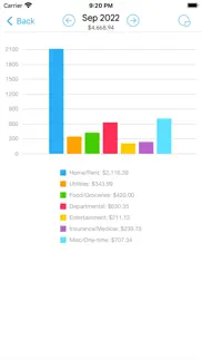 homebudget with sync iphone screenshot 4