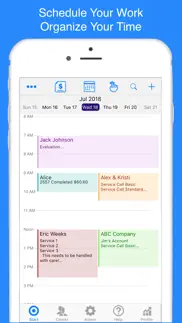 scheduler calendar & invoicing iphone screenshot 2