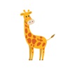 GiraffeMath icon