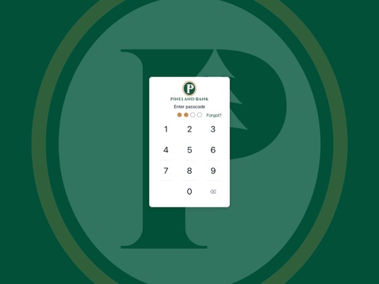 Pineland Bank iPad screenshot 2 - Finance app
