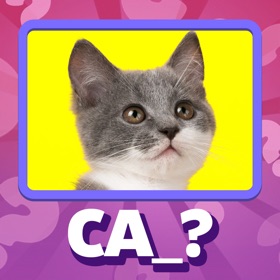 螢幕擷取畫面 (6) Guess the Idiom Quiz Show