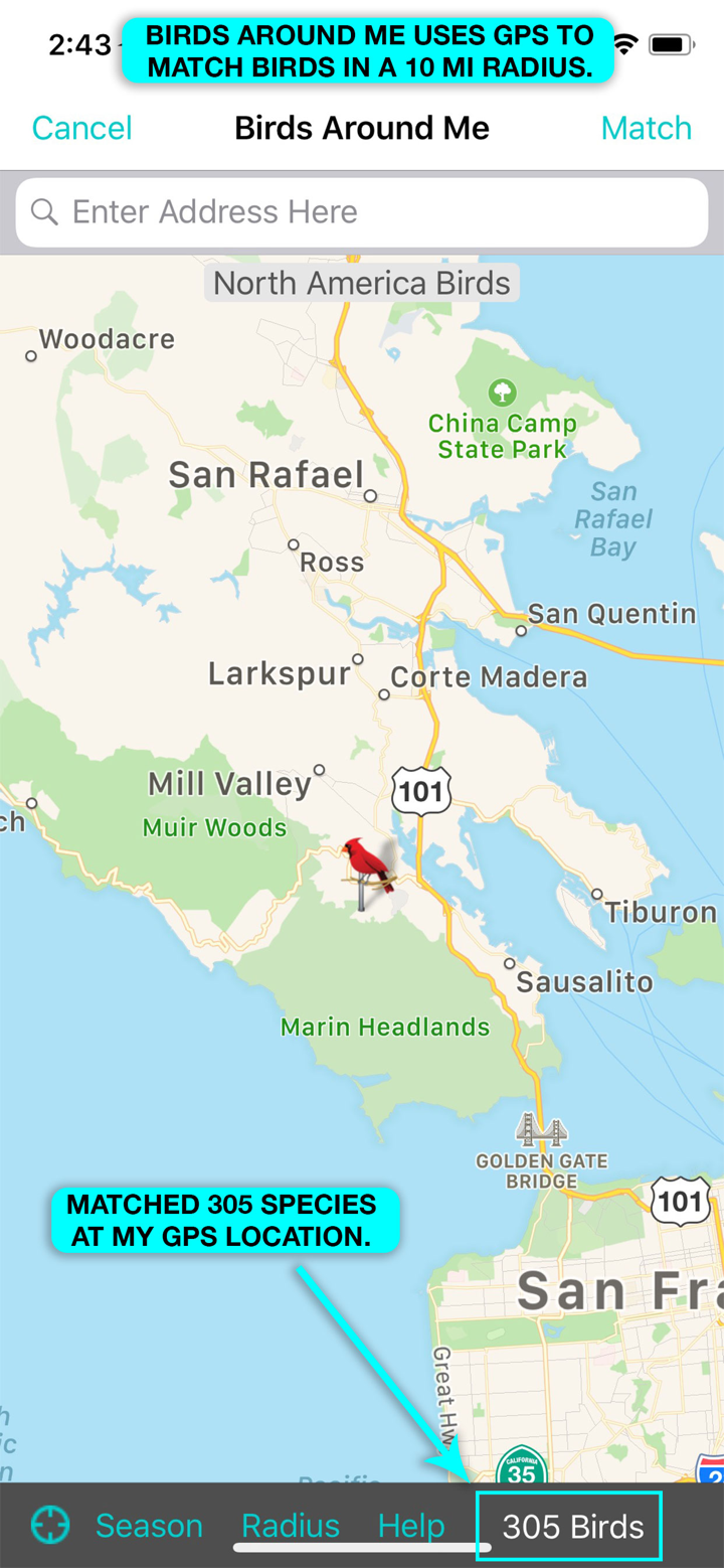 iBird Pro Guide to Birds screenshot 3