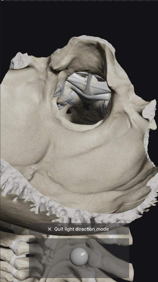 #7. Biomechanics of the Spine Lite (iOS) Podle: Anatomy Standard