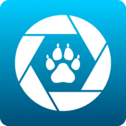 Maginon WildlifeCam Wifi Cheats