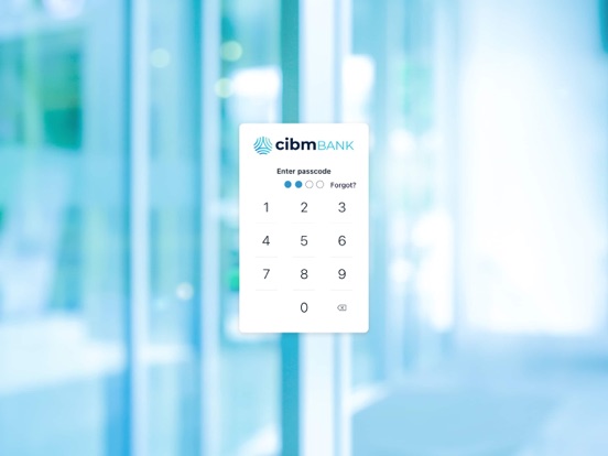 CIBM Bank iPad screenshot 2 - Finance app