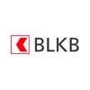 BLKB wallet by wearonize icon