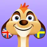 Learn Swedish + App Negative Reviews