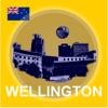 Wellington Looksee AR