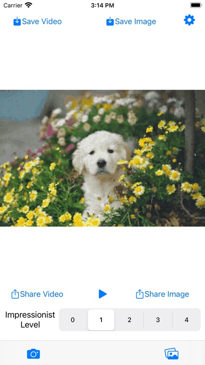 PaintSnap: Photo to Painting screenshot-0