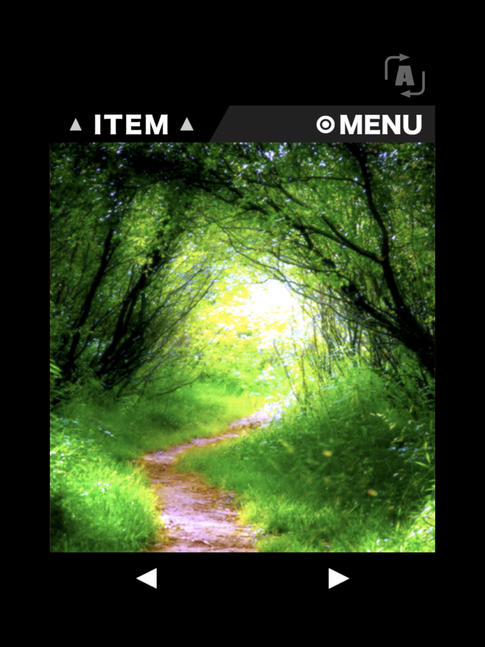 Escape game RESORT3 - Forest