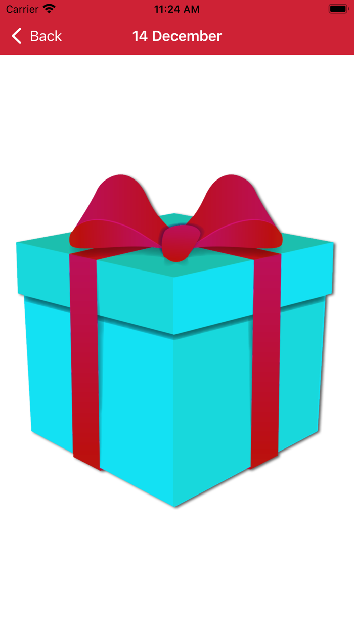 Christmas Advent Calendar 2023