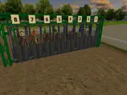 derby quest: horse manager айпад изображения 1