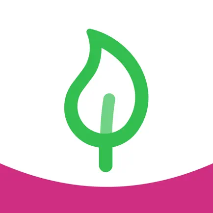 FourteenFish Portfolio Cheats