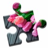 Tulip Love Puzzle icon